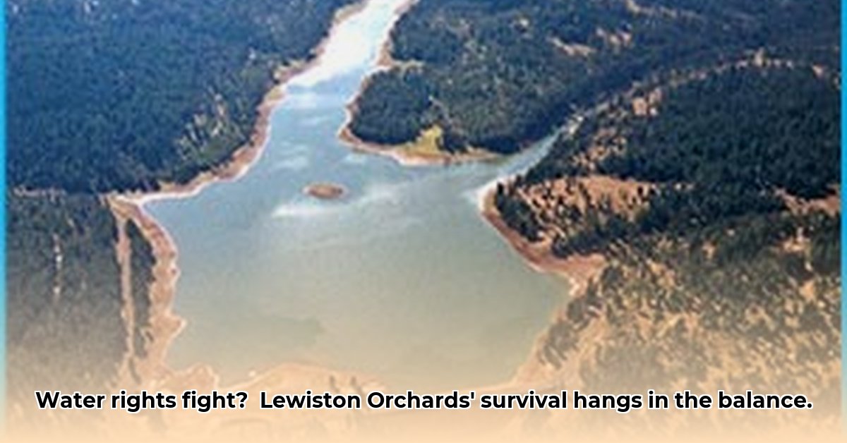 lewiston-orchards